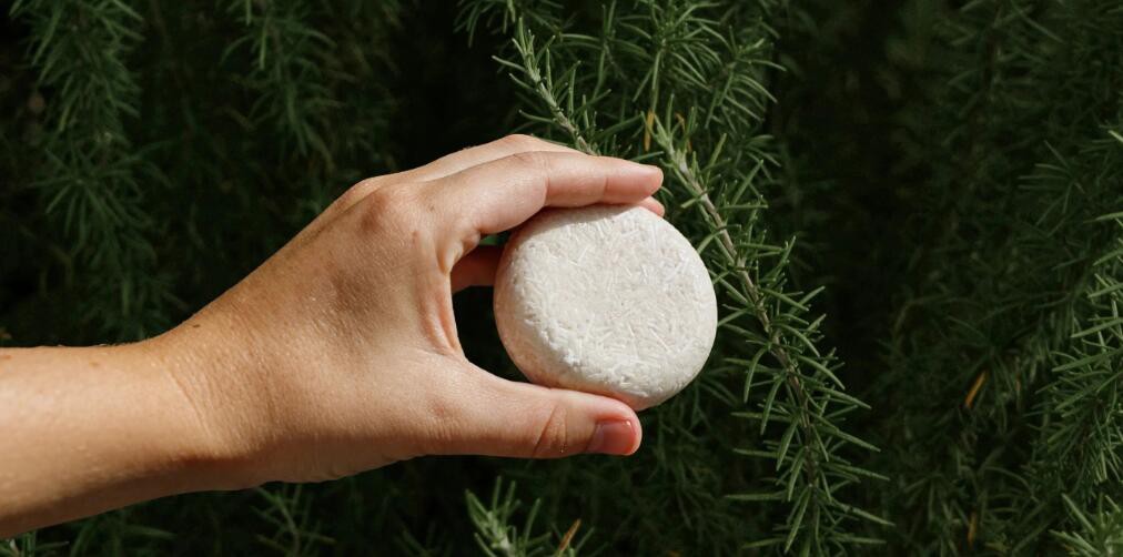 Rosemary Oil For Hair Rosemary Oil For Hair