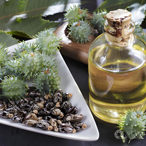 Castor-Oil Castor-Oil